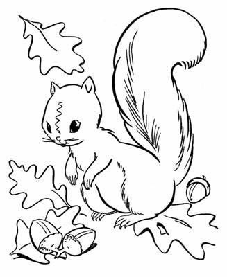 Kãptalãlat a kãvetkezåre âåsz szãnezåâ squirrel coloring page fall leaves coloring pages fall coloring pictures