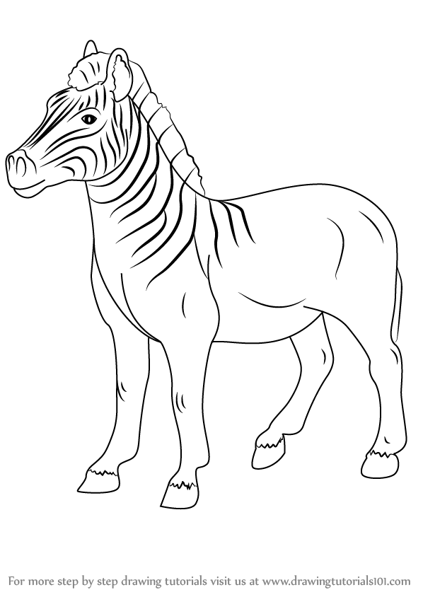 How to draw an quagga other animals step by step