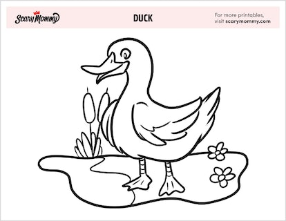 Looking for fun these duck coloring pages fit the bill