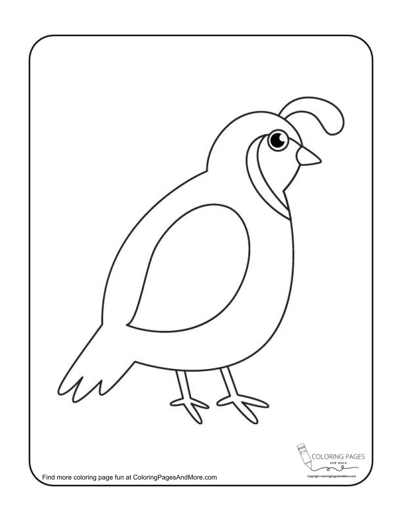 Cute quail coloring page