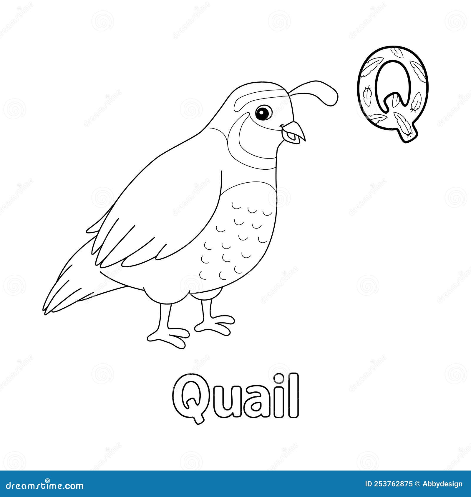 Quail alphabet abc coloring page q stock vector