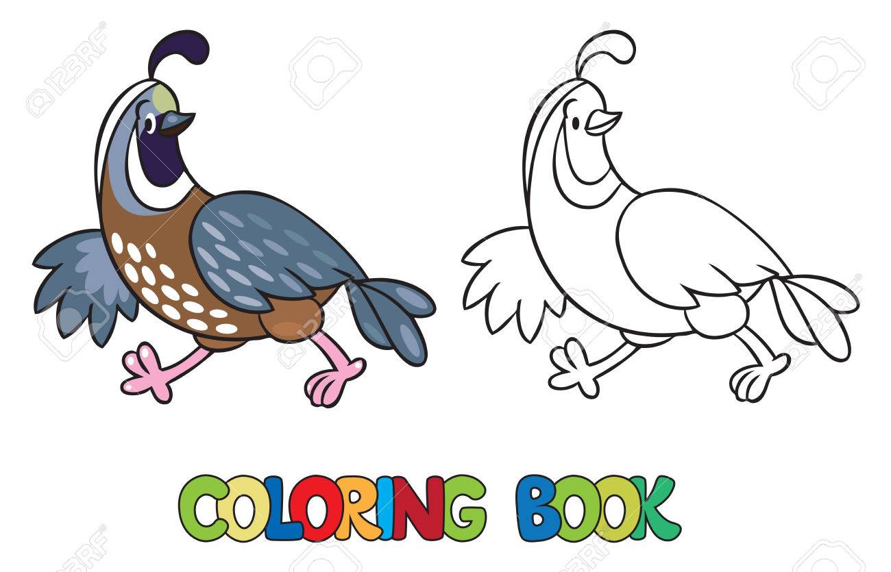 Coloring book or coloring picture of little funny quail royalty free svg cliparts vectors and stock illustration image