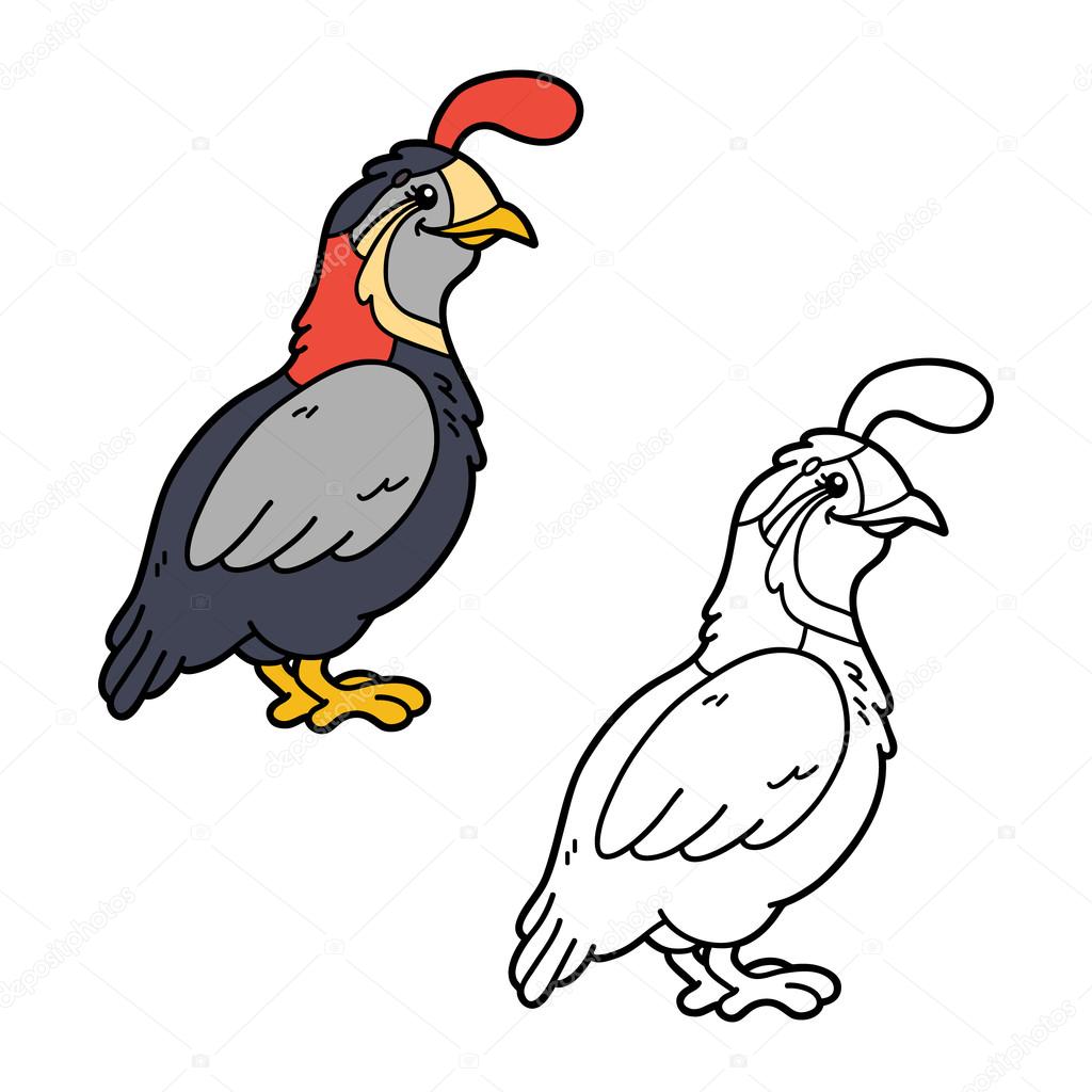 Funny quail coloring page stock vector by boyusya