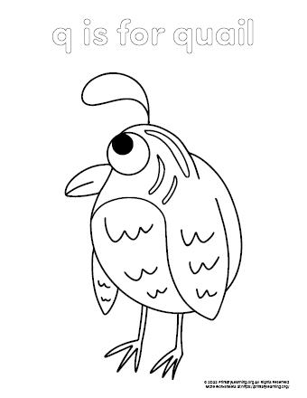 Quail coloring page