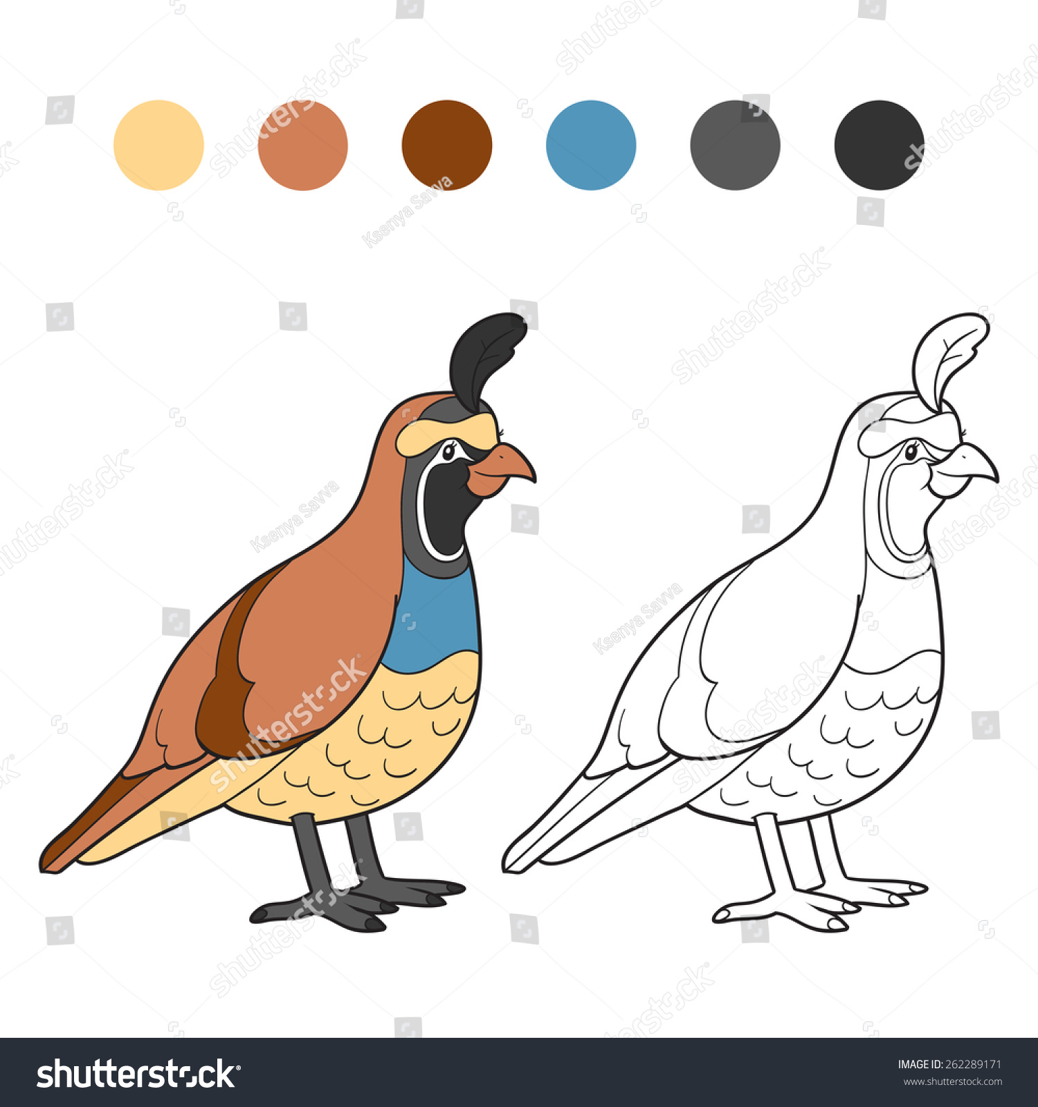 Coloring book quail bird stock vector royalty free