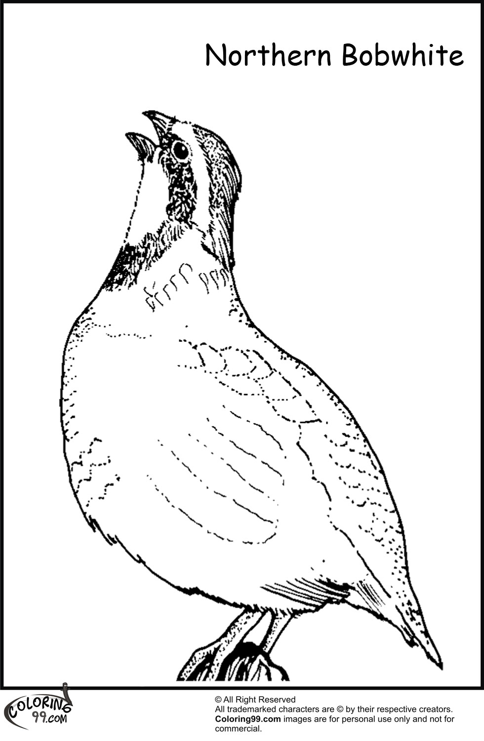 Quail coloring pages team colors