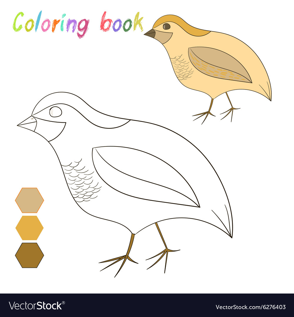 Coloring book quail kids layout for game vector image