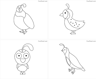 Free printable quail coloring pages for kids â