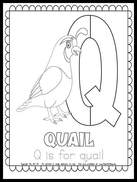 Letter q is for quail free printable coloring page â the art kit