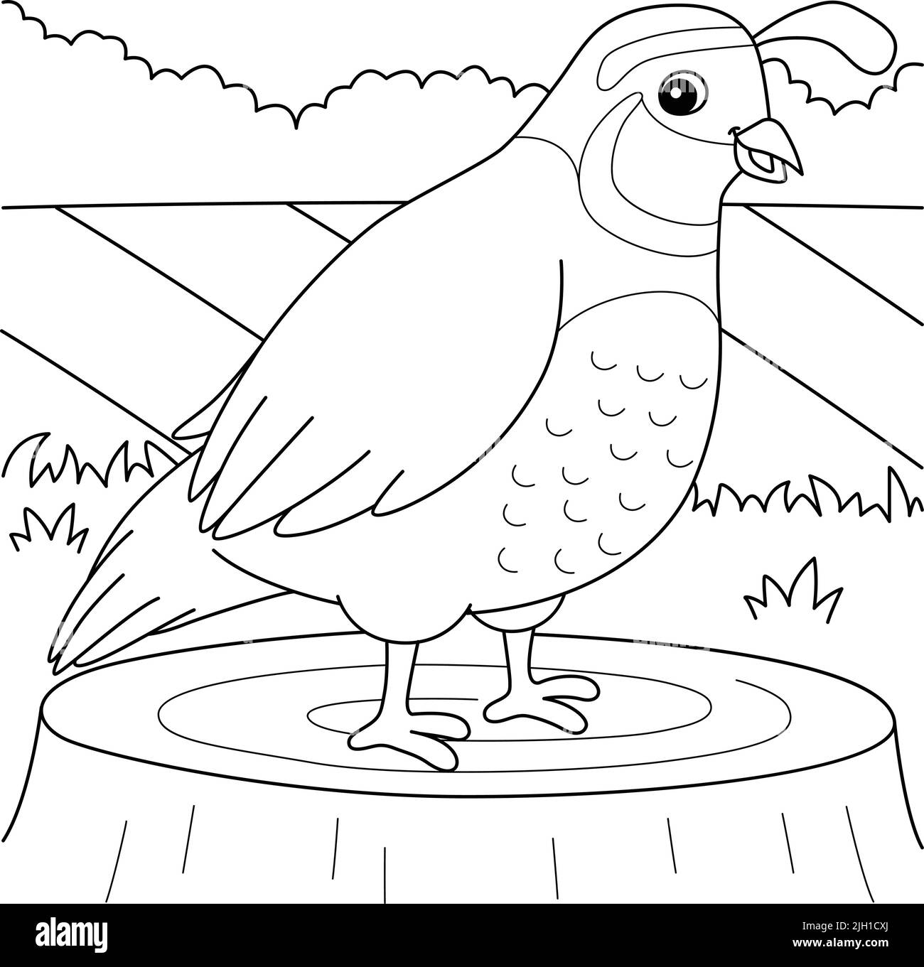 Quail coloring page hi