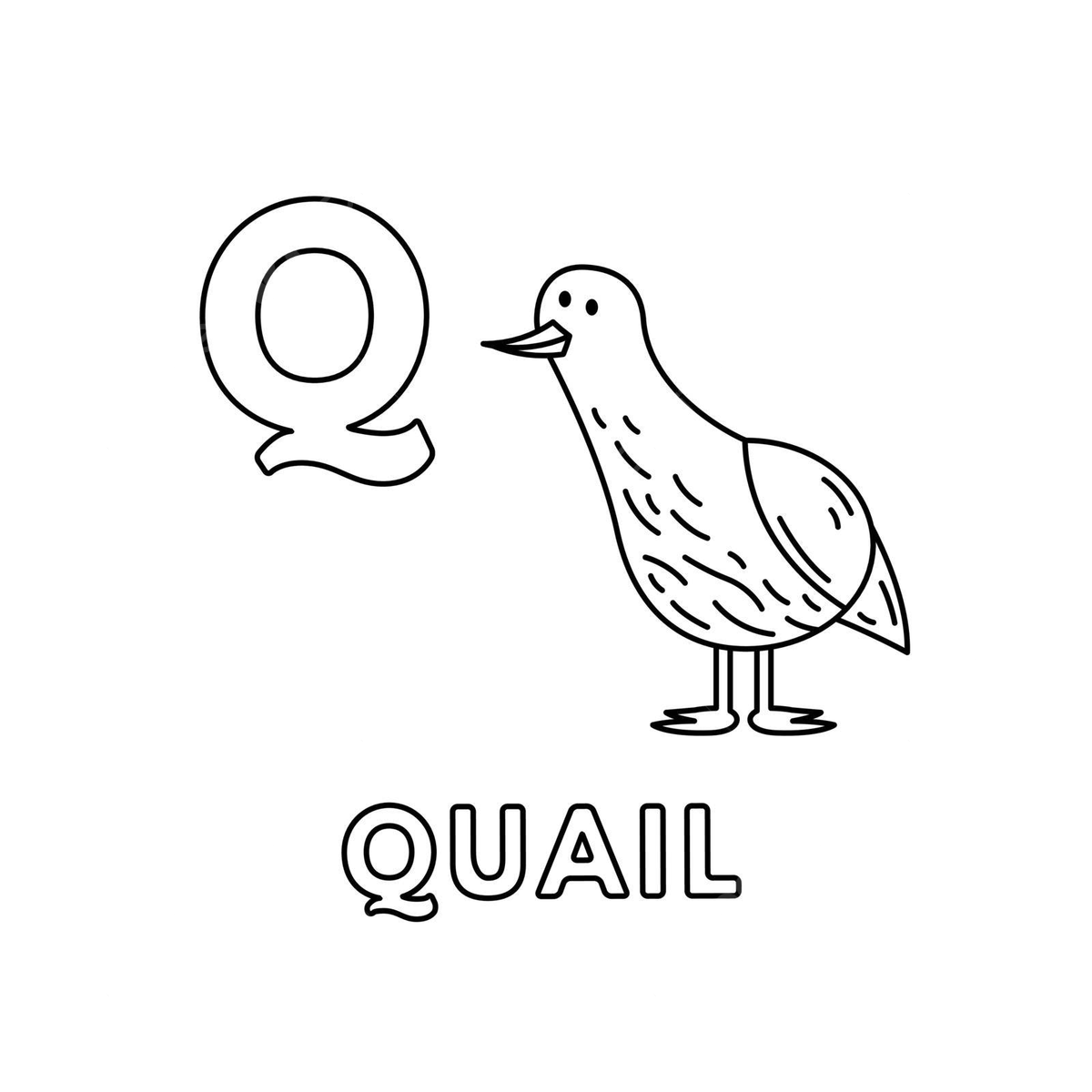 Alphabet of adorable cartoon animals in vector format printable coloring pages featuring lovable quails vector poster letter wild png and vector with transparent background for free download