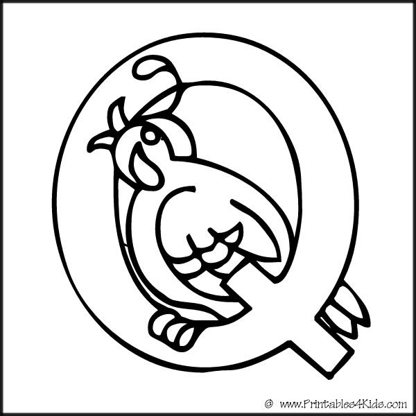 Alphabet coloring page letter q quail â printables for kids â free word search puzzles coloring pages and other activities