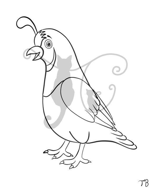 Quail kids coloring page x