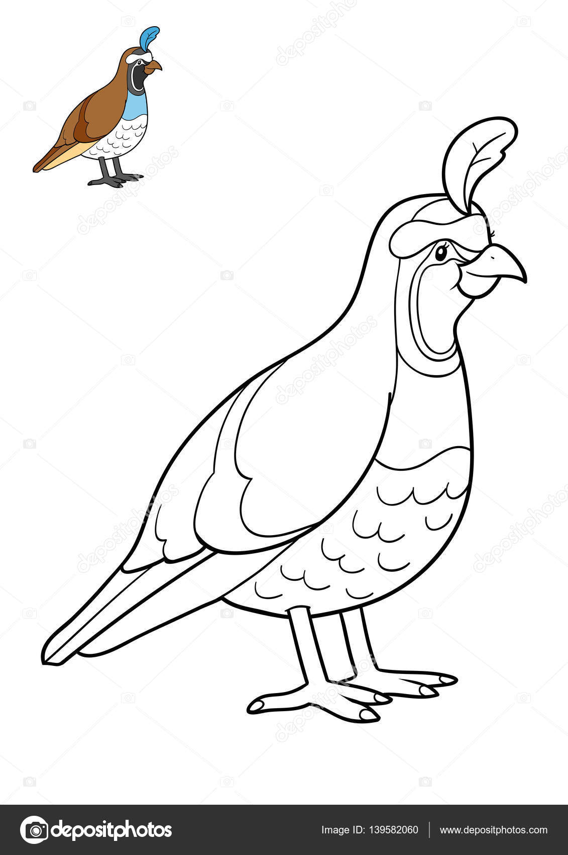 Coloring book quail stock illustration by ksenyasavva