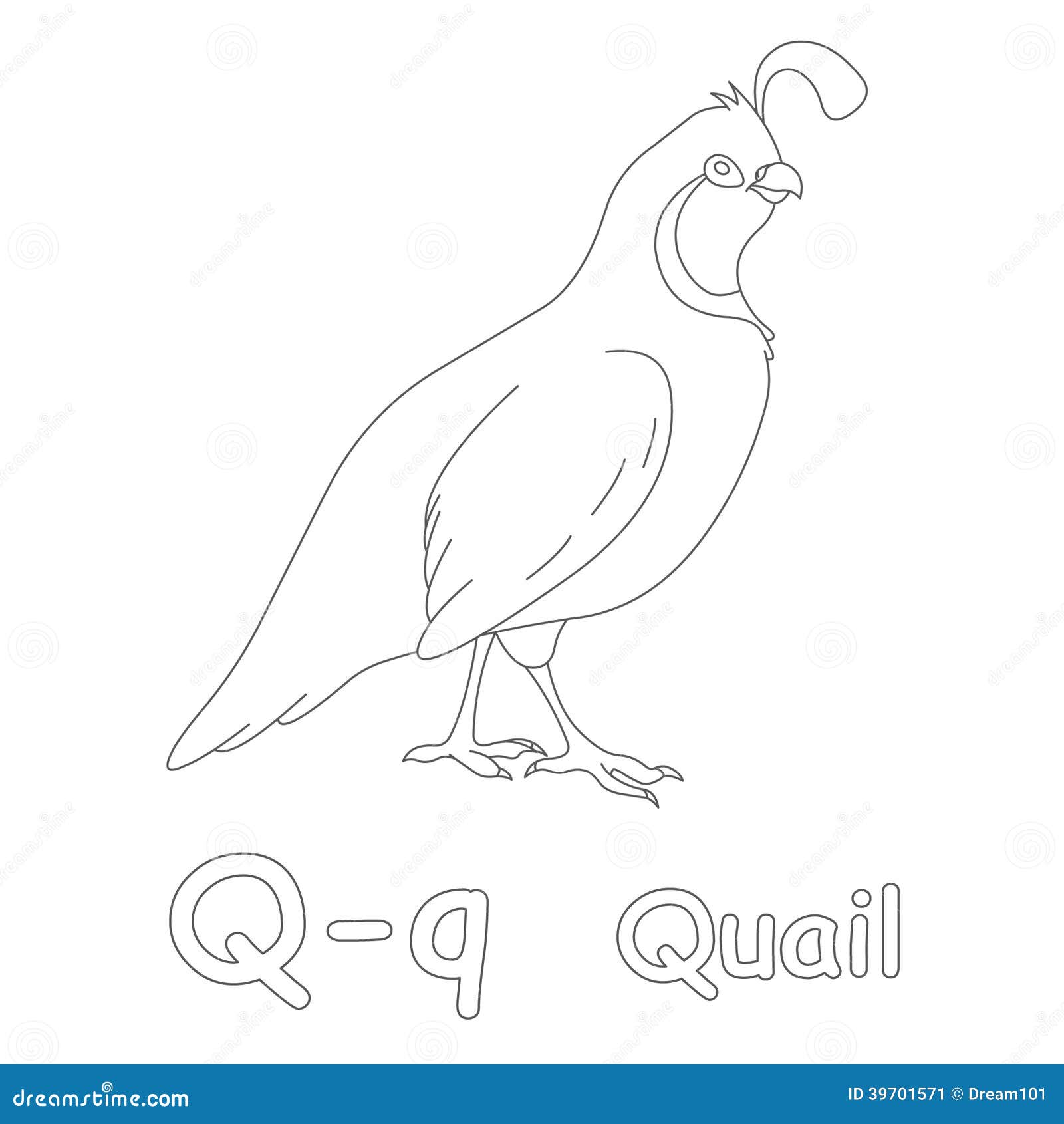 Q for quail coloring page stock illustration illustration of letters