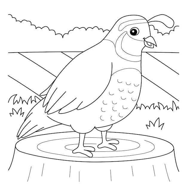 Premium vector quail animal coloring page for kids