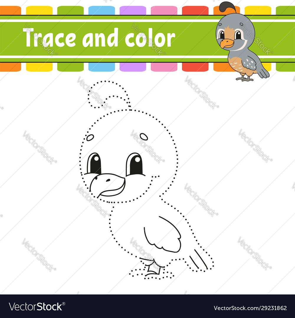 Trace and color quail bird coloring page for kids vector image