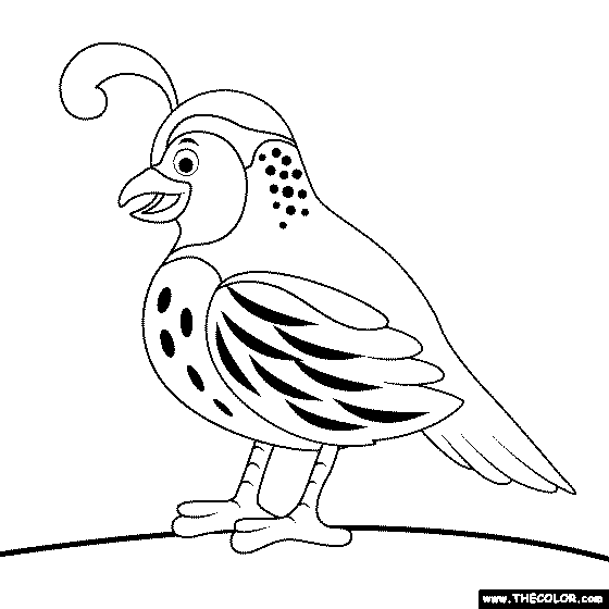 Newest coloring pages