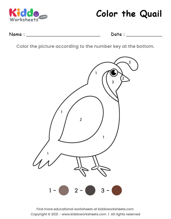 Free printable color the quail worksheet