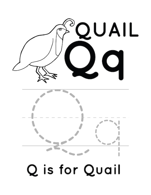 Page quail coloring sheet images