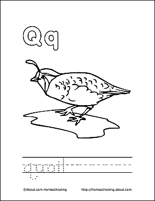 Letter q coloring book