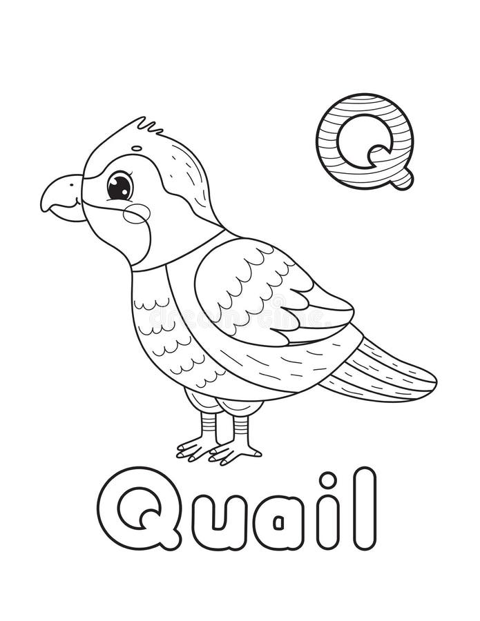 Quail coloring sheet stock illustrations â quail coloring sheet stock illustrations vectors clipart