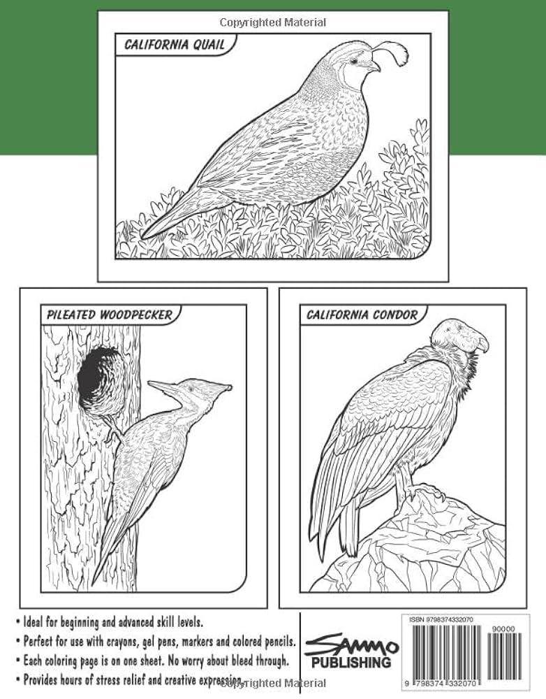 Birds of california coloring book for kids teens adults a collection of mon unique birds of california for bird watchers to identify and color morrison sam books