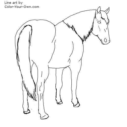 Traditional quarter horse coloring page