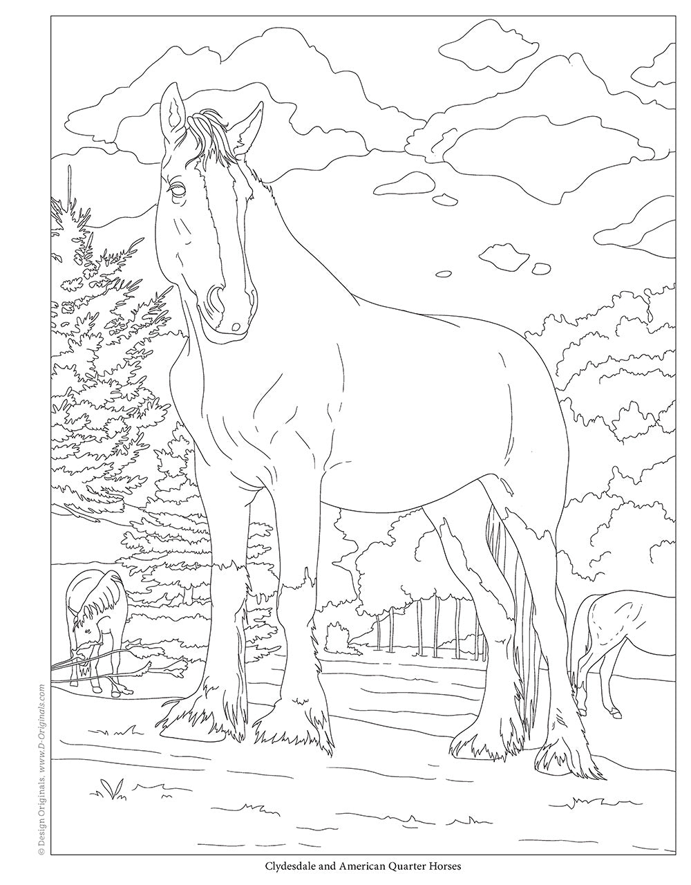 Horses coloring book â fox chapel publishing co