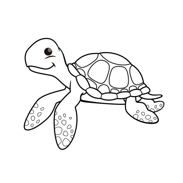 Cartoon turtle coloring pages stock illustrations royalty