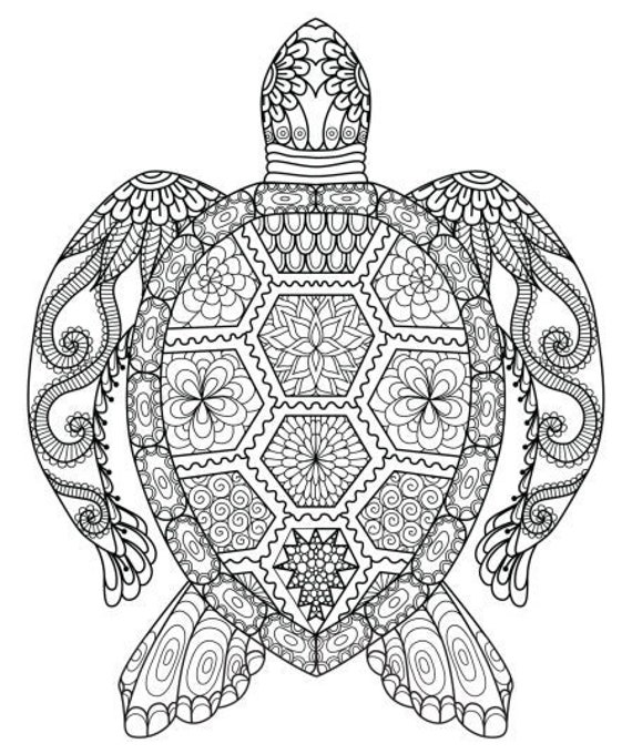 Mandala de tortuga pãgina para colorear