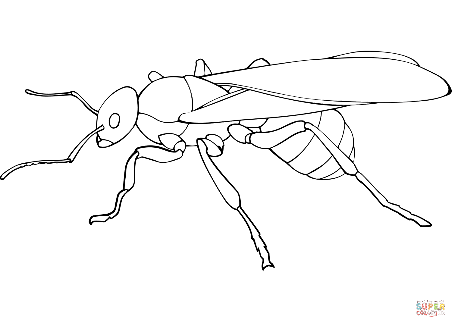 Queen ant coloring page free printable coloring pages