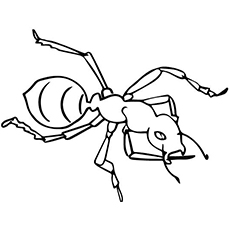 Top free printable ants coloring pages online