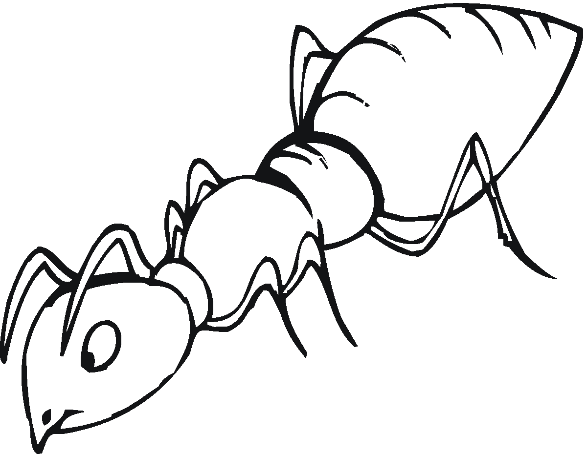 Free printable ant coloring pages for kids