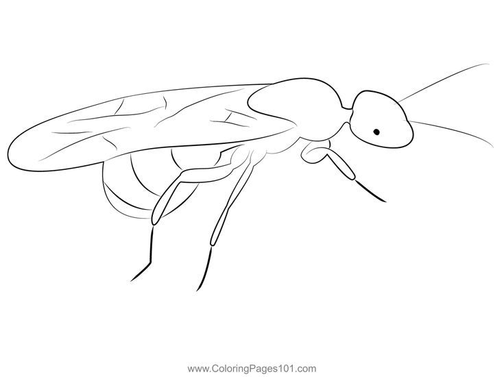 Termites coloring page coloring pages coloring pages for kids printable coloring pages