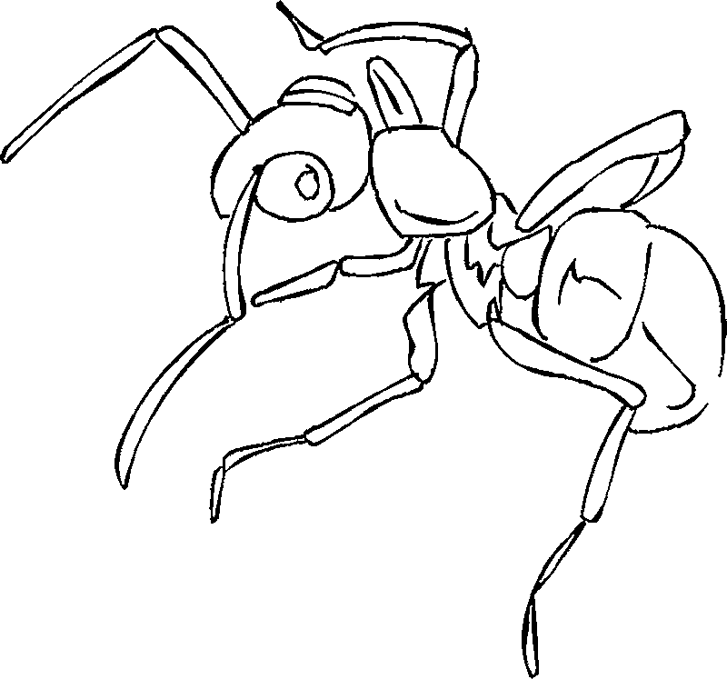 Free printable ant coloring pages for kids