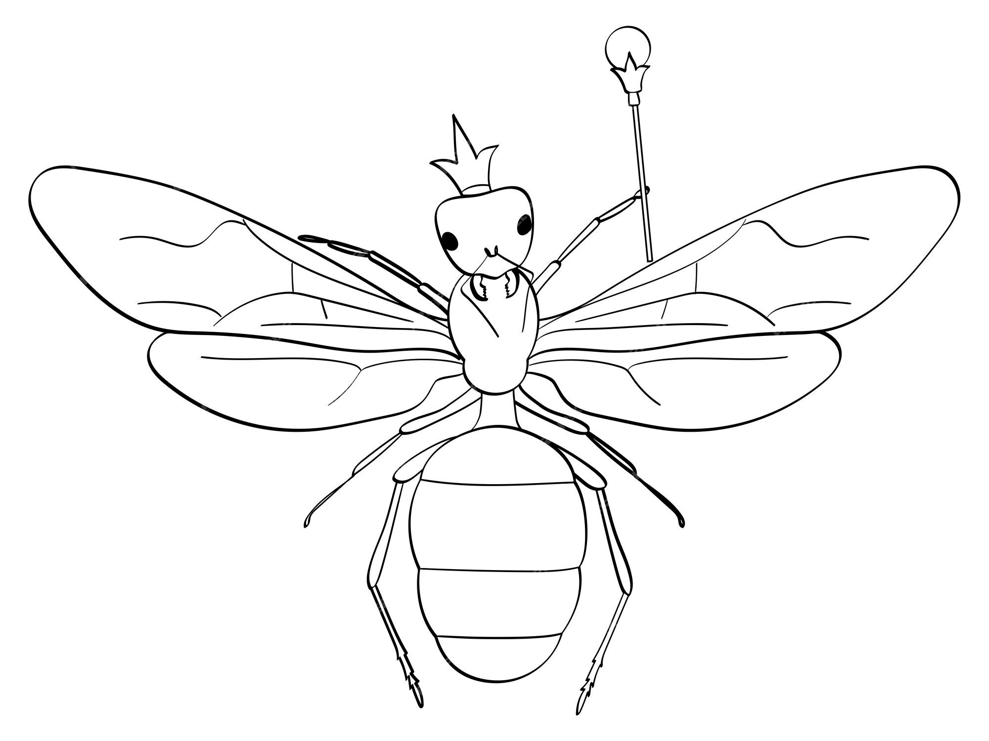 Premium vector coloring black lines white background insect head of the ants the queen in the crown and the scepter