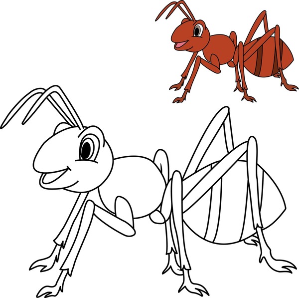 Ant coloring images stock photos d objects vectors