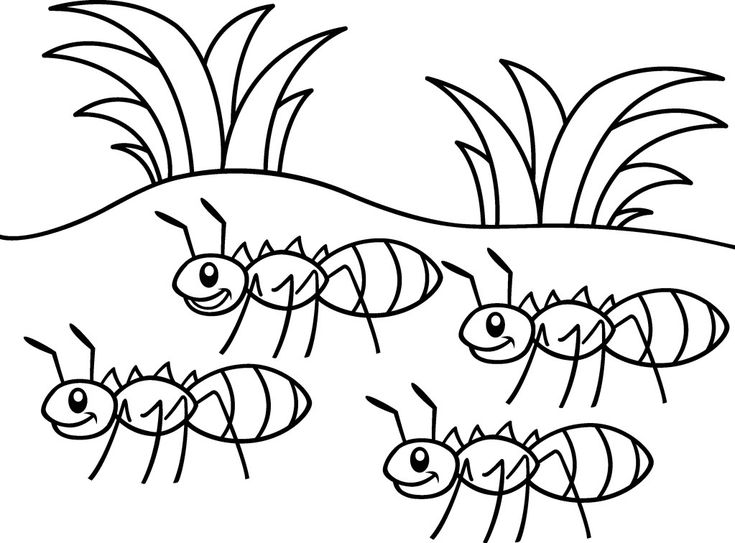 Ant coloring pages â coloringrocks insect coloring pages coloring pages animal coloring pages