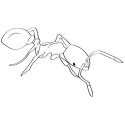 Thief ants coloring page for kids