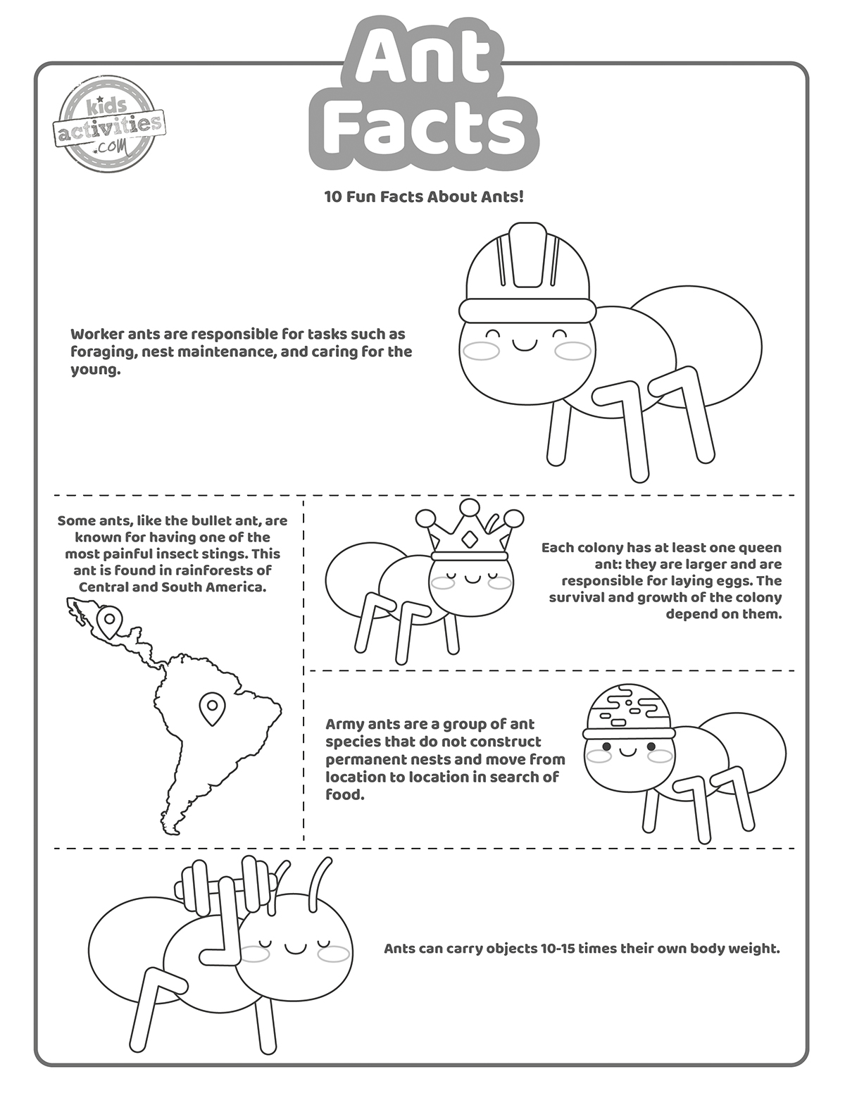 Fun ant facts for kids kids activities blog