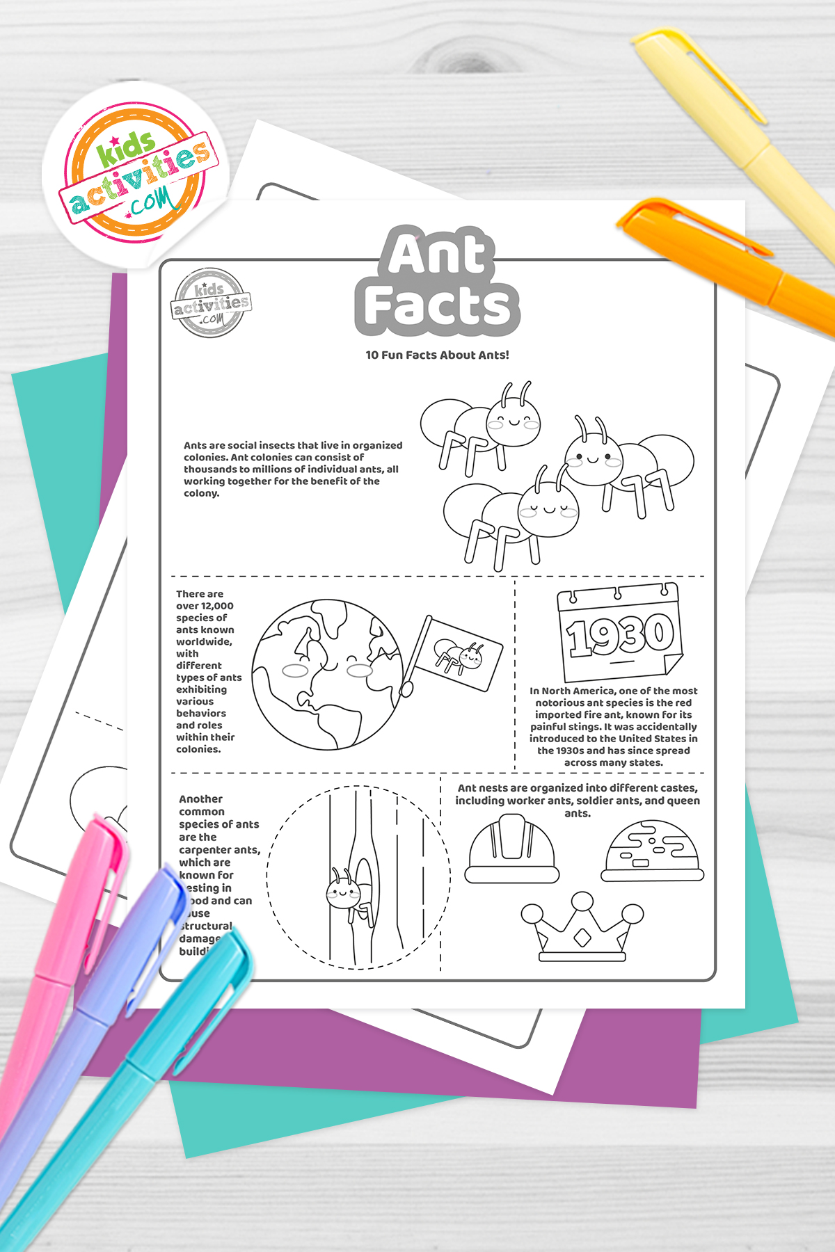 Fun ant facts for kids kids activities blog