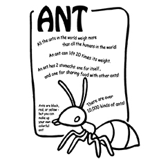 Top free printable ants coloring pages online