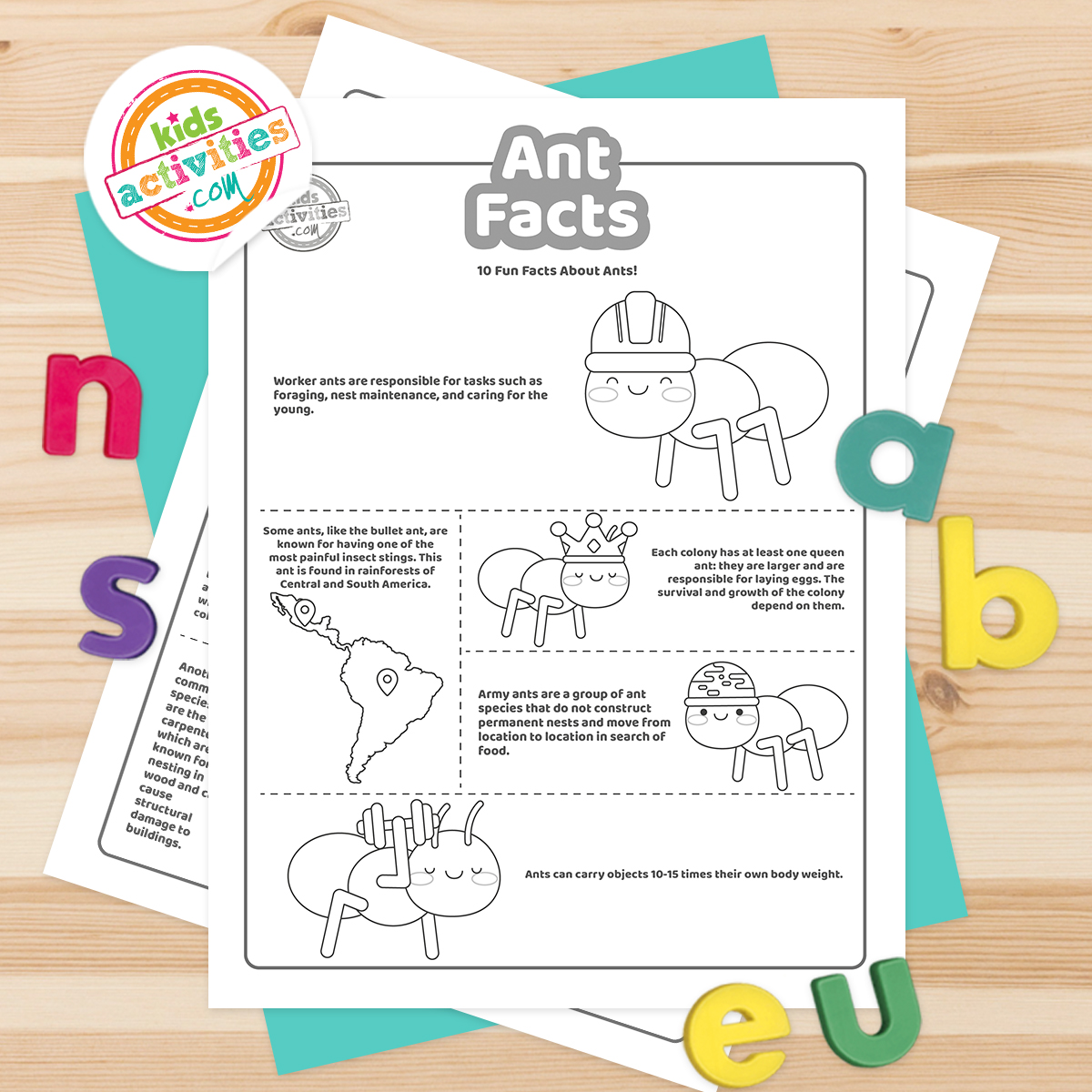 Fun ant facts for kids kids activities blog