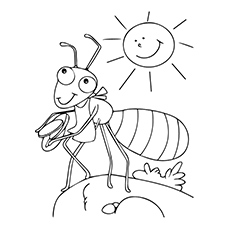 Top free printable ants coloring pages online