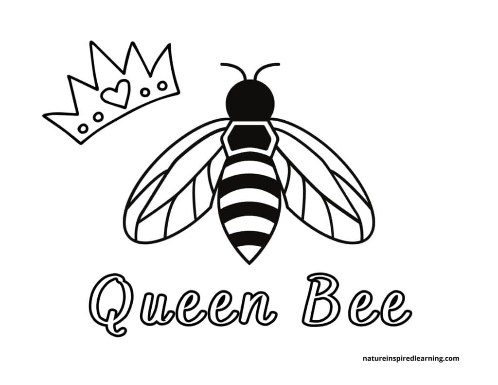 Busy bee coloring pages for kids