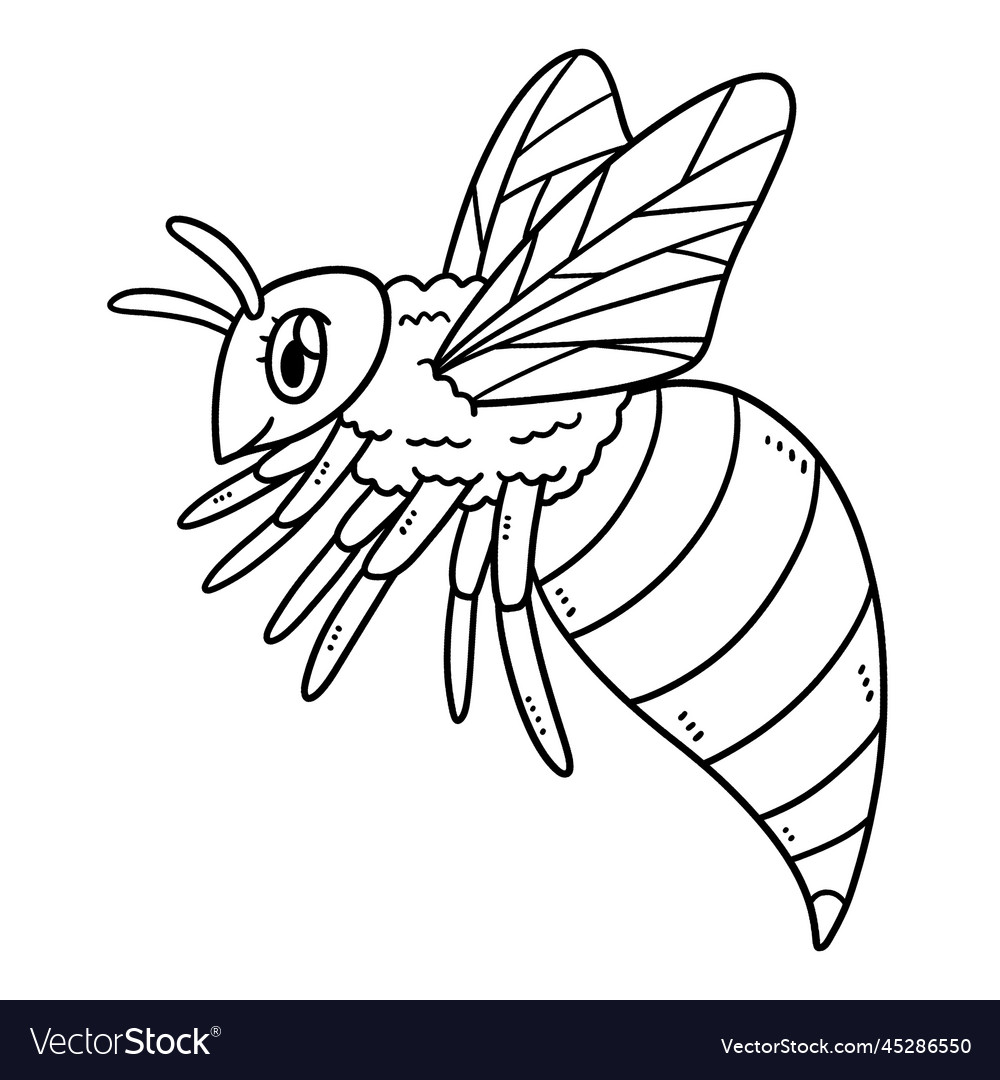 Queen bee isolated coloring page for kids vector image