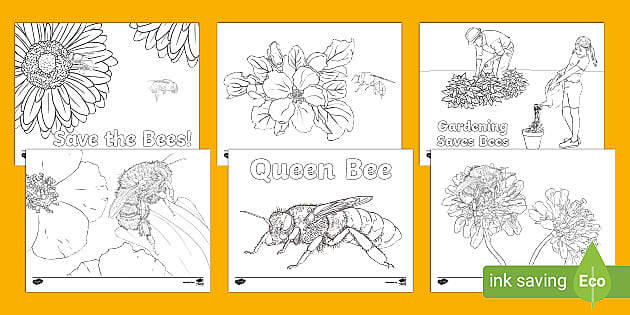 Save the bees louring pages