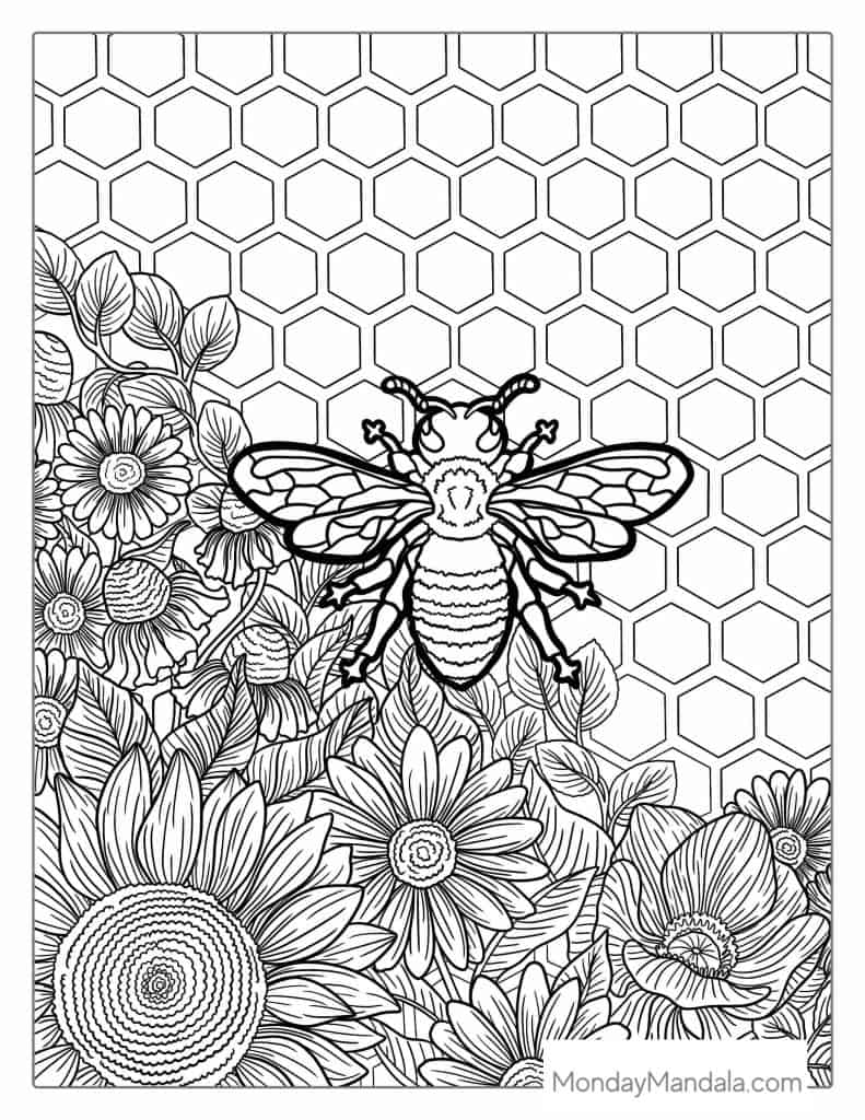 Bee coloring pages free pdf printables