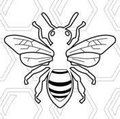 Bees coloring pages free coloring pages